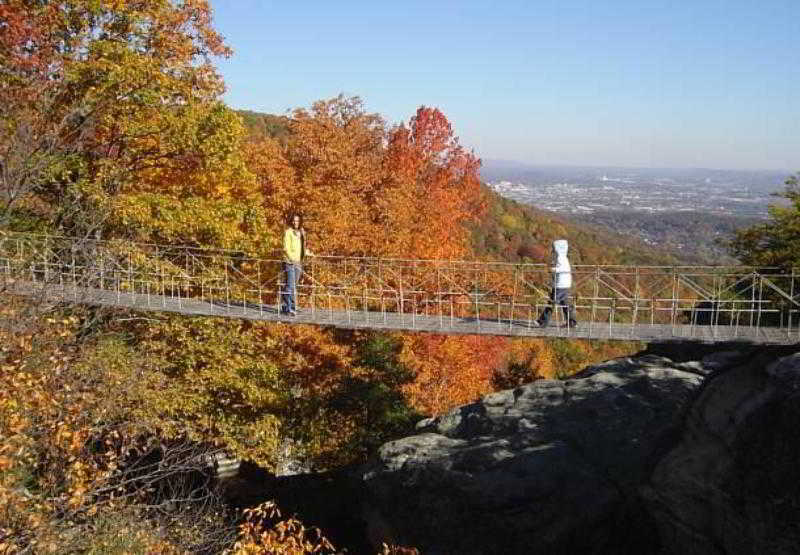 Residence Inn Chattanooga Near Hamilton Place Екстер'єр фото